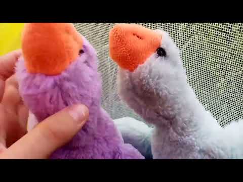 Видео: Гуси обнимуси 2 сезон 2серия:герой