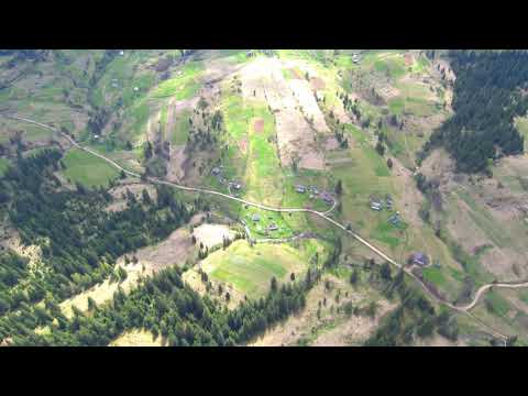 Видео: СЕНЕЧІВ  ІЗ ВИСОТИ ПТАШИНОГО ПОЛЬОТУ