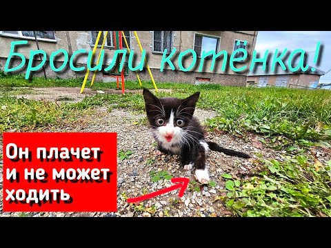 Видео: 💔 Котёнок полз по детской площадке и просил помощи у прохожих / выкинули😭 /help save the kitten