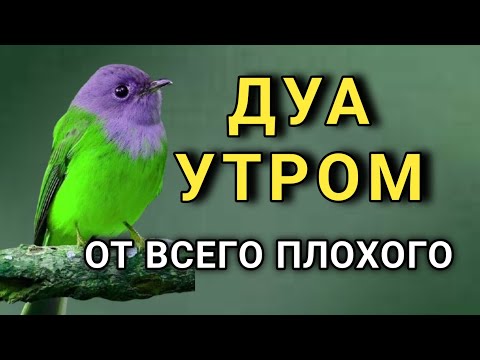 Видео: ДУА ДЛЯ ЗАЩИТЫ ОТ ПЛОХОГО 🤲✨