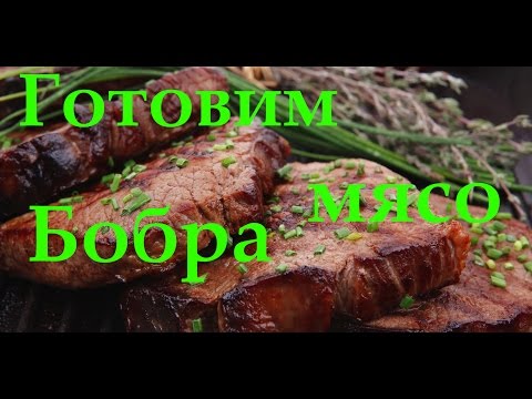 Видео: Готовим мясо бобра, жарим бобра в духовке! Cooking meat beaver, beaver roast in the oven!