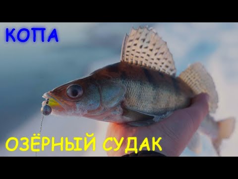 Видео: СУДАК и ФАНЕРА порадовали - озеро КОПА, КОКШЕТАУ