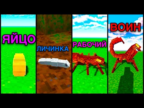 Видео: ЖИЗНЕННЫЙ ЦИКЛ МУРАВЬЯ В МАЙНКРАФТ Ice and Fire Мирмекс Майнкрафт