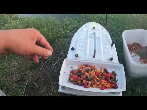 Видео: Карпфишинг на дикаре. Тульская область.