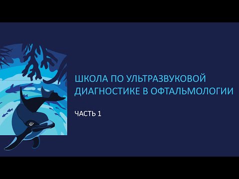 Видео: ШКОЛА ПО УЛЬТРАЗВУКОВОЙ ДИАГНОСТИКЕ В ОФТАЛЬМОЛОГИИ, ЧАСТЬ 1