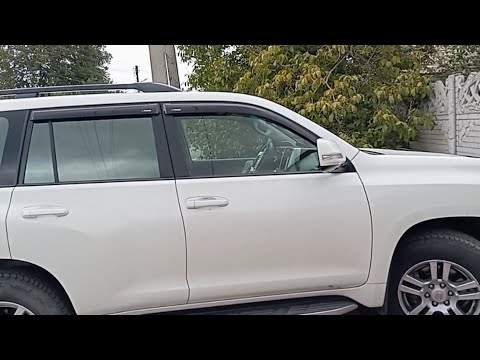 Видео: Мелитопольские голуби. Давайте ценить отличных...