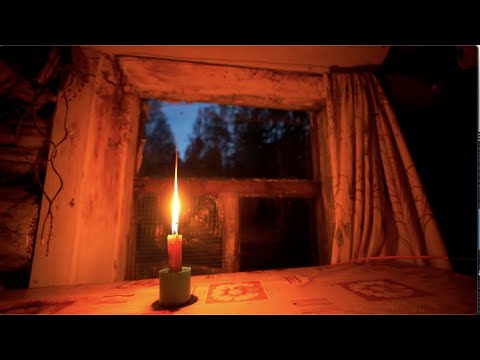 Видео: Кругом быки . Ждем медведя в избе .