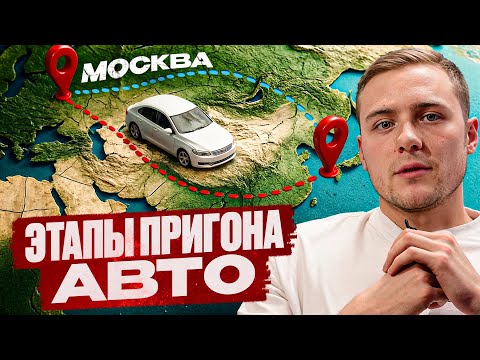 Видео: Как устроен процесс пригона авто из Кореи?