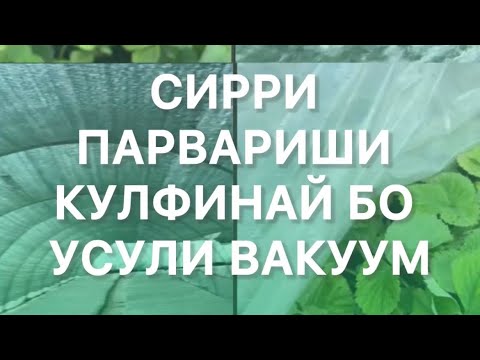 Видео: 🌱 Парвариши кулфинай бо усули вакуум — яъне пӯшиши махсус бо плёнка.🍓