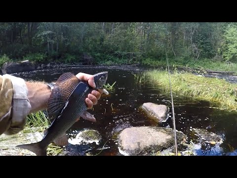 Видео: Рыболовный сплав+Ходовая рыбалка на притоке. Часть 2