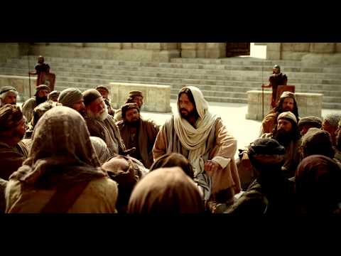 Видео: Я есмь пастырь добрый и есть у меня и другие овцы