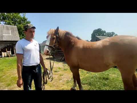 Видео: Белорусская,красавица ❤️❤️❤️👍