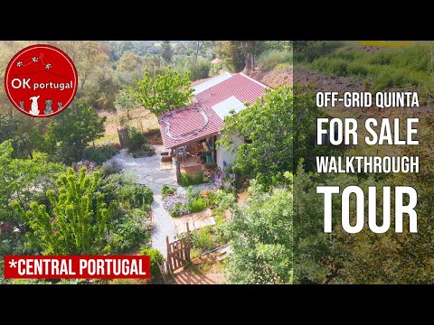 Видео: Крошечный дом без сети площадью 5 акров на продажу в Фундау, Центральная Португалия ❤🇵🇹😍