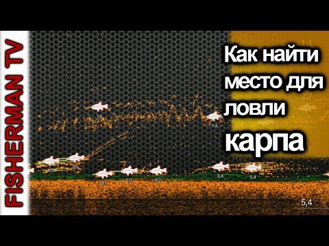 Видео: Как найти место для ловли карпа