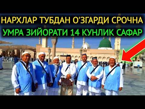 Видео: НАРХЛАР ТУБДАН О'ЗГАРДИ СРОЧНА,УМРА ЗИЙОРАТИГА 14-КУНЛИК САФАР ПРИМОЙ РЕЙСЛАР.УМРА ЗИЙОРАТИ 2024