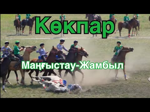 Видео: Көкпар Адай-Ата(Маңғыстау)- Әулие-Ата(Жамбыл)