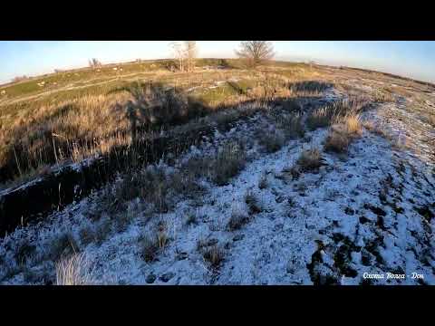 Видео: Охота на зайца, первый снег тает на глазах. Тропить не получилось
