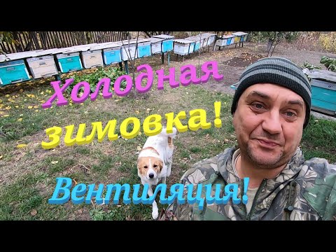 Видео: ✅ Убираю утепления ХОЛОДНАЯ ЗИМОВКА пчелиных семей! #пчеловодство1