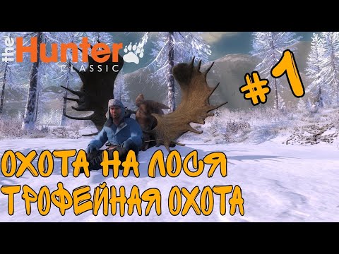 Видео: The Hunter classic. ОХОТА НА ЛОСЯ!!! ТРОФЕЙНАЯ ОХОТА!!!