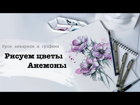 Видео: Рисуем цветы Анемоны HD