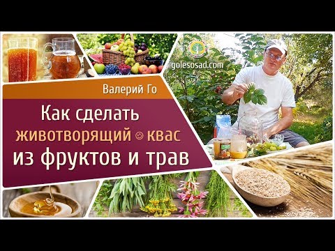 Видео: КВАС ИЗ ФРУКТОВ И ТРАВ!