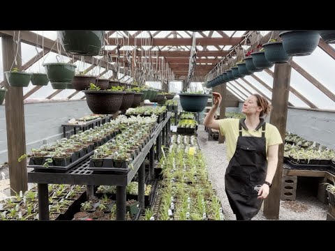 Видео: Похоже на теплицу! Ферма Flower Hill