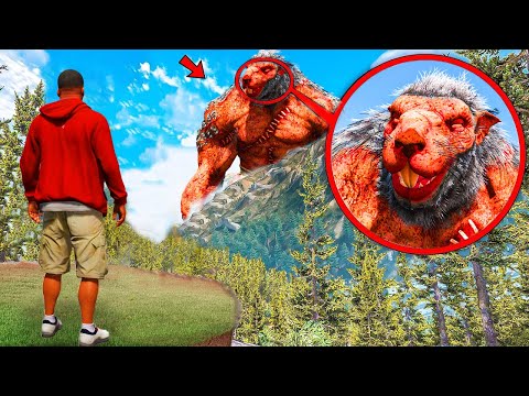 Видео: ФРАНКЛИН ДӘУ ТЫШҚАНҒА ҚАРСЫ ШАЙҚАСТЫ (GTA V)