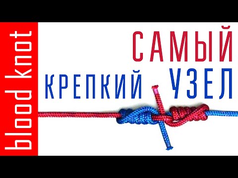 Видео: Как связать две лески между собой? Кровавый узел Blood knot