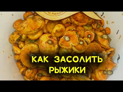 Видео: Как засолить рыжики. Самый верный и лучший способ не испортить грибы