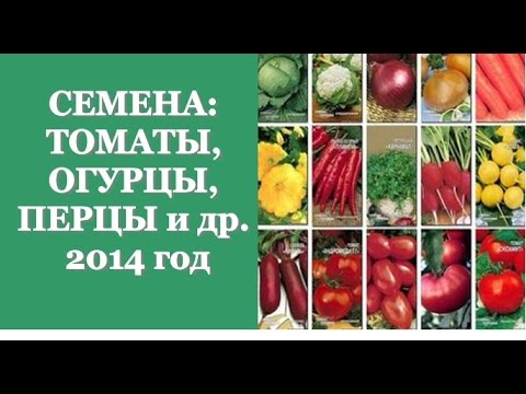Видео: СЕМЕНА: ТОМАТЫ, ОГУРЦЫ, ПЕРЦЫ и др. 2014 год