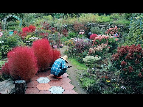 Видео: Загородный дом уже начинает остывать