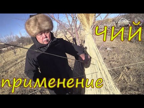Видео: ЮРТА. Зачем ЧИЙ? Кыргызстан.