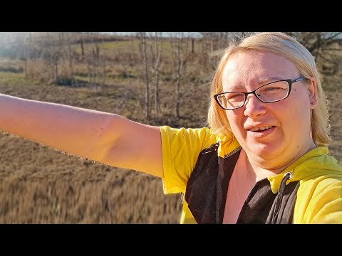 Видео: Яна захватила канал! Только Яна, булли и очень много чихуахуа! Как вам такое?