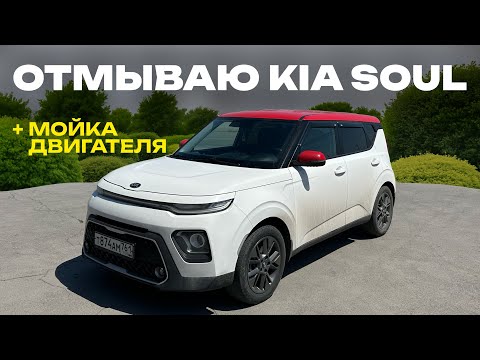 Видео: Мойка кузова и двигателя Kia Soul