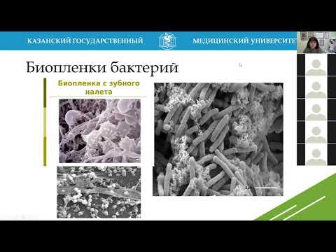 Видео: Г.Ш. Исаева. Экология микробов. Микрофлора тела человека. Педиатрический факультет.