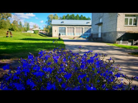 Видео:  Дворец детского и юношеского творчества//Детский парк  (12 сентября 2025г.)