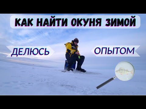 Видео: Как найти ОКУНЯ ЗИМОЙ на БОЛЬШОМ ОЗЕРЕ | Рекомендации для начинающих