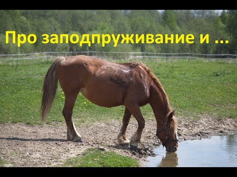 Видео: Заподпруживание. Когда и почему это происходит.