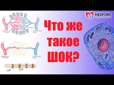 Видео: Что же такое ШОК?