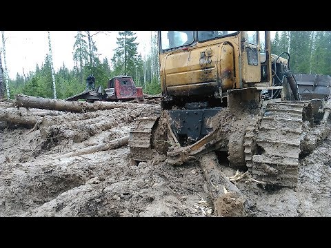 Видео: Бульдог Т-130 Чистим делянку Слетела гусянка Грязи по колено