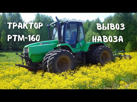 Видео: Трактор РТМ-160 вывоз навоза на поля