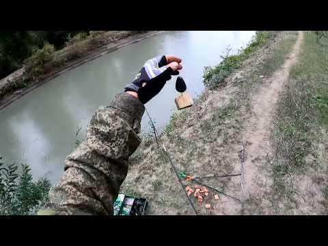 Видео: Рыбалка река Таловка! Кизлярский район