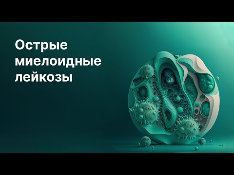 Видео: Острые миелоидные лейкозы
