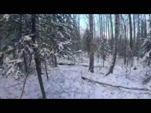 Видео: Директор турбазы где были Усольцевы рассказал о тайной дороге на Монголию