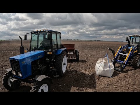 Видео: Посівна сої. Процес від А до Я. Технологія підготовки та посіву сої. Підготовка грунту-культивація.