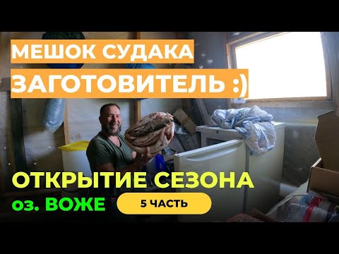 Видео: ВОЖЕ. СУПЕР ОТКРЫТИЕ СЕЗОНА 2023. ЧАСТЬ 5. МЕШОК СУДАКА! ЗАКЛЮЧИТЕЛЬНАЯ СЕРИЯ. #рыбалка #озеровоже