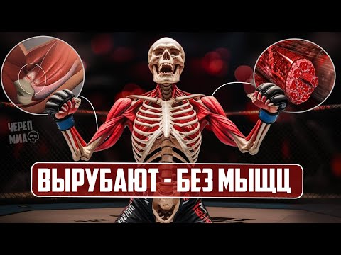 Видео: Вот Почему Худые Вырубают Качков в UFC