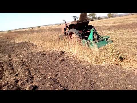 Видео: Фреза ЗАРЯ с трактором т25 на целине.