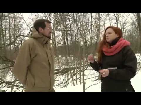 Видео: Истина где то рядом  Ищем клад Наполеона.