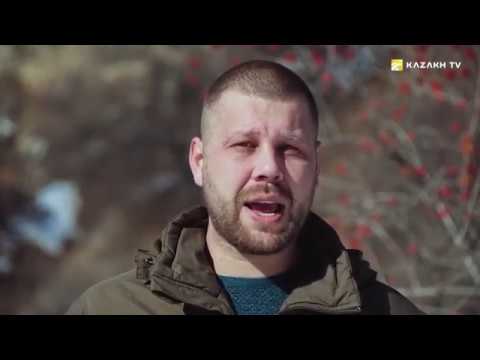 Видео: Қазақтың құмай тазысының шығу тегі